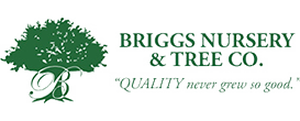 briggs logo